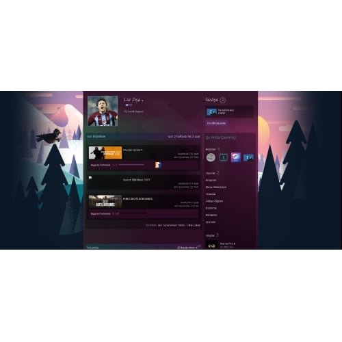 FACEİT 10 LEVEL
