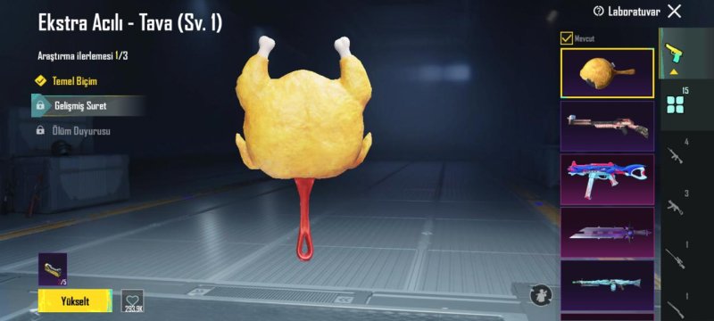 Görsel 2
